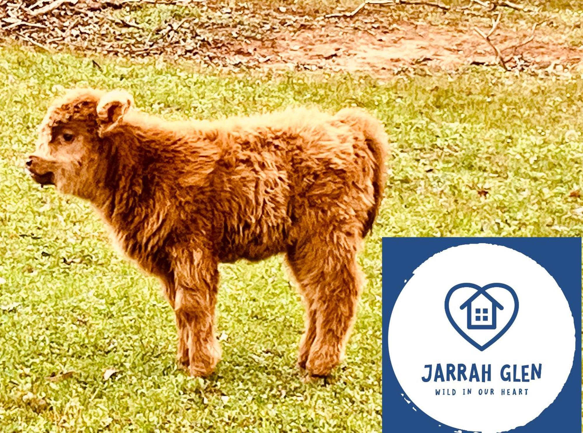 Jarrah Glen Cabins 나눕 외부 사진