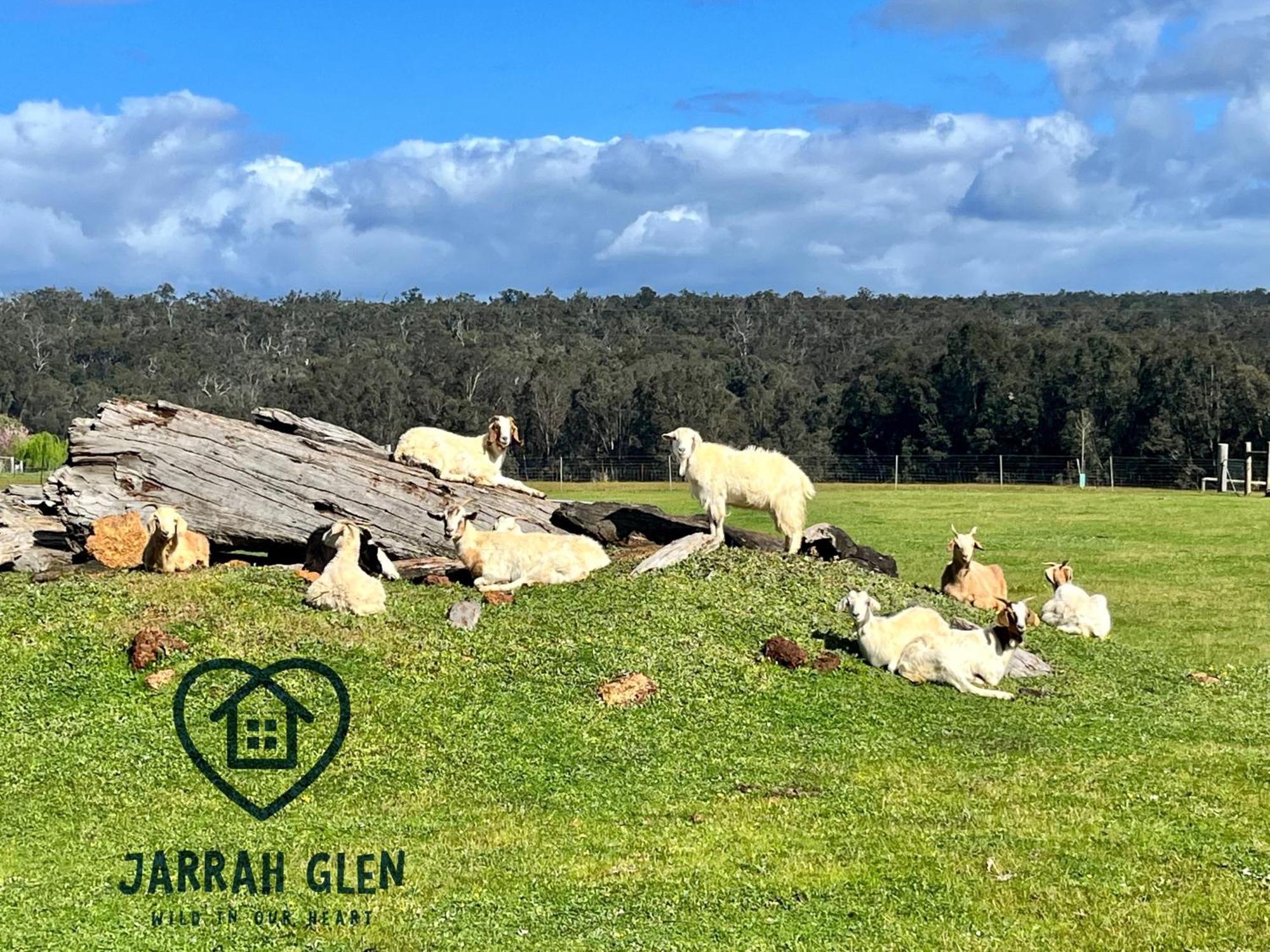 Jarrah Glen Cabins 나눕 외부 사진
