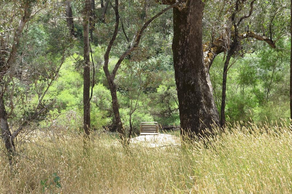 Jarrah Glen Cabins 나눕 객실 사진